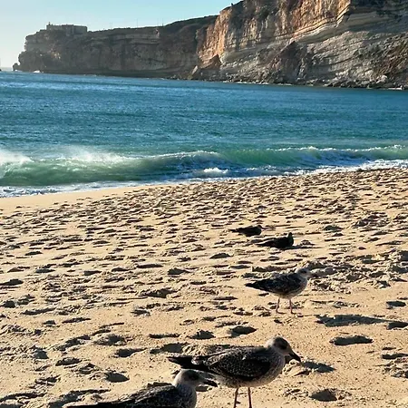 Appartamento Sol Nazaré