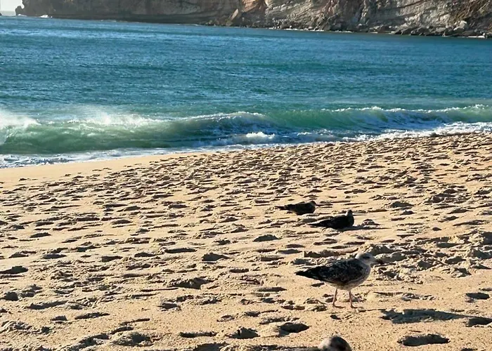 Apartment Sol Nazare